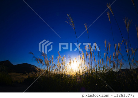 高原索尼子 132633772