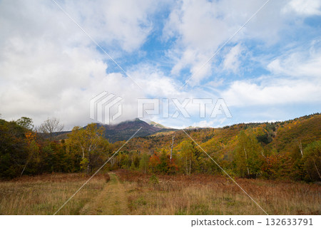 乘鞍高原森林裡的秋葉 乘鞍高原森林裡的秋葉 132633791