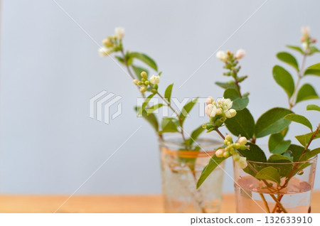 Symphorical Posse flower arrangement Symphorical Posse flower arrangement 132633910