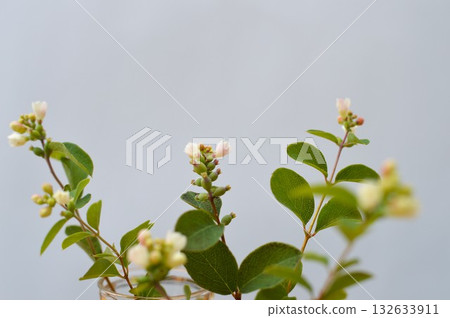 Symphorical Posse flower arrangement Symphorical Posse flower arrangement 132633911