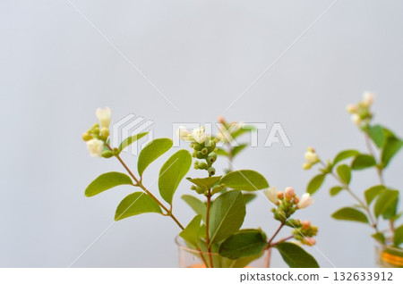 Symphorical Posse flower arrangement 132633912