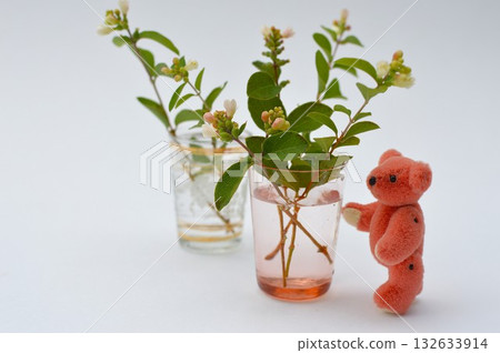 Symphorical Posse flower arrangement and teddy bear Symphorical Posse flower arrangement and teddy bear 132633914