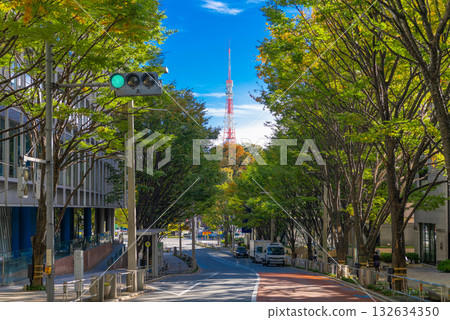 Tokyo Tower as seen from Roppongi Keyakizaka Street Tokyo Tower as seen from Roppongi Keyakizaka Street 132634350