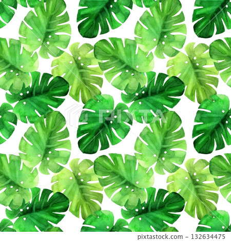 Seamless pattern Illustration featuring hand-drawn watercolor Monstera leaves scattered on white background 132634475