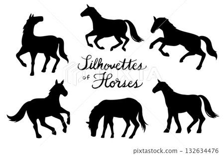 馬剪影插圖集 132634476
