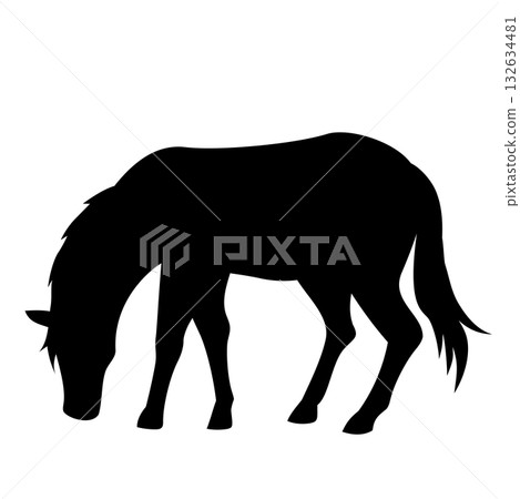 Silhouette illustration of a eating horse Silhouette illustration of a eating horse 132634481