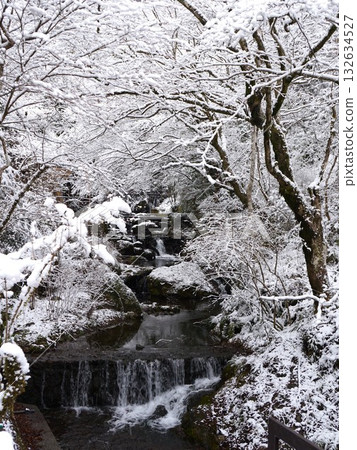 Snowy Kifune River [Sakyo Ward, Kyoto City] 132634527