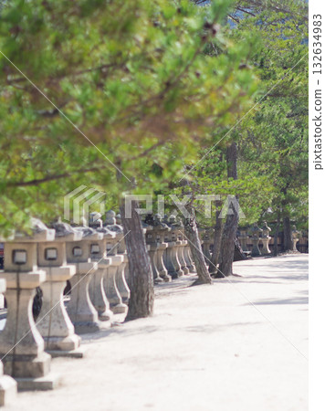 石燈籠巷 132634983