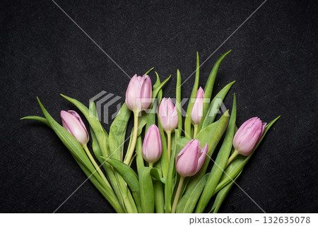 delicate pink tulips against dark background for spring vibes delicate pink tulips against dark background for spring vibes 132635078