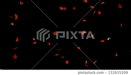 Falling Red Maple Leaves. Freeze Motion of Autumn Leaves Isolated on Black Background. Ideal for Seasonal Design, Background Overlays, and Creative Visual Projects. Falling Red Maple Leaves. Freeze Motion of Autumn Leaves Isolated on Black Background. Ideal for Seasonal Design, Background Overlays, and Creative Visual Projects. 132635209