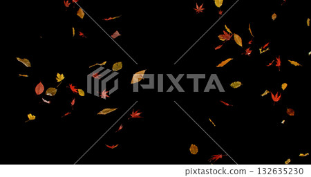 Falling Autumn Leaves. Isolated on Black Background.  Still for Seasonal Design, Overlay Effects, or Visual Storytelling. 132635230