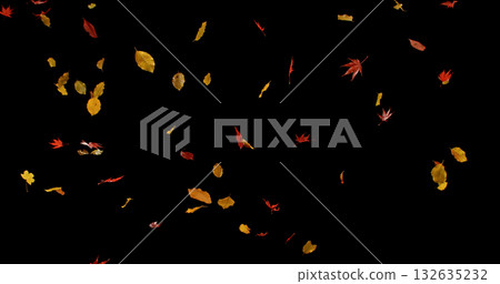 Falling Autumn Leaves. Isolated on Black Background. Still for Seasonal Design, Overlay Effects, or Visual Storytelling. Falling Autumn Leaves. Isolated on Black Background. Still for Seasonal Design, Overlay Effects, or Visual Storytelling. 132635232