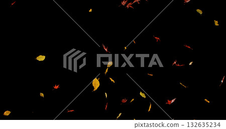 Falling Autumn Leaves. Isolated on Black Background. Still for Seasonal Design, Overlay Effects, or Visual Storytelling. Falling Autumn Leaves. Isolated on Black Background. Still for Seasonal Design, Overlay Effects, or Visual Storytelling. 132635234