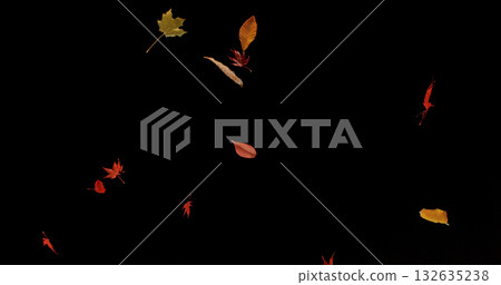 Falling Autumn Leaves. Isolated on Black Background. Still for Seasonal Design, Overlay Effects, or Visual Storytelling. Falling Autumn Leaves. Isolated on Black Background. Still for Seasonal Design, Overlay Effects, or Visual Storytelling. 132635238