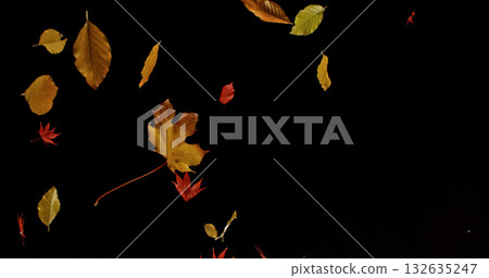Falling Autumn Leaves. Isolated on Black Background. Still for Seasonal Design, Overlay Effects, or Visual Storytelling. Falling Autumn Leaves. Isolated on Black Background. Still for Seasonal Design, Overlay Effects, or Visual Storytelling. 132635247