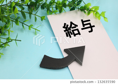 薪資上漲的形象 薪資上漲的形象 132635590
