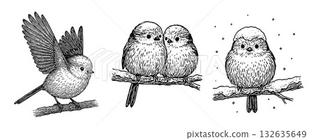 一組長尾山雀棲息在冬季樹枝上的鋼筆畫，長尾山雀鋼筆畫 132635649