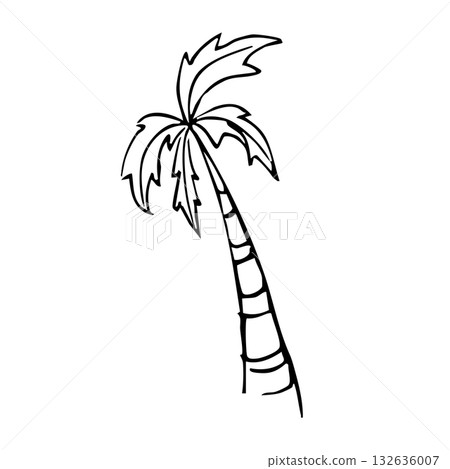 Outline black doodle with palm tree 132636007