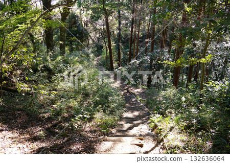 Genjiyama Park Hiking Course 132636064