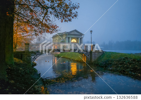 Mystical view of the night park, Gatchina. 132636588