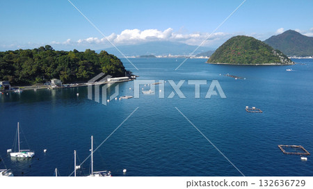 靜岡縣伊豆國長濱城，從駿河灣俯瞰富士山 132636729