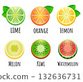 Tropical fruit icon set, vector 132636731