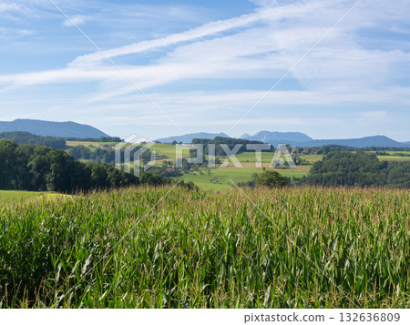 Teisendorf, Germany - July 26th 2024: Panoramic view over wide hills in Bavaria with view to the Alps 132636809