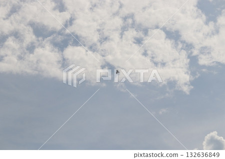 風箏 風箏 132636849