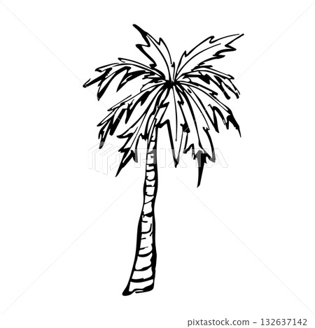 Hand drawn doodle palm tree 132637142