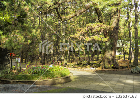 Autumn at Numazu Imperial Villa Memorial Park 132637168