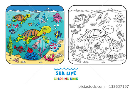 Sea theme. Turtle coloring book. Kids vector Sea theme. Turtle coloring book. Kids vector 132637197