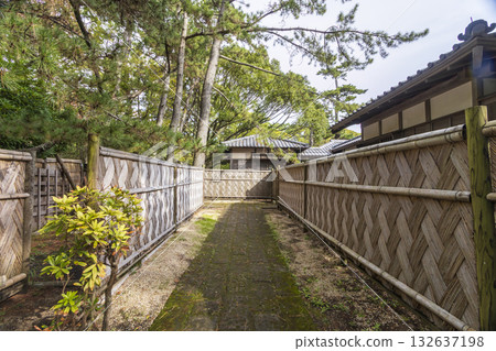 沼津離宮紀念公園的秋天 沼津離宮紀念公園的秋天 132637198