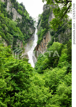 Sounkyo Ginkgo Waterfall 132637249