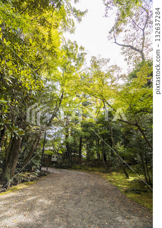 Early autumn at Rakujuen 132637284