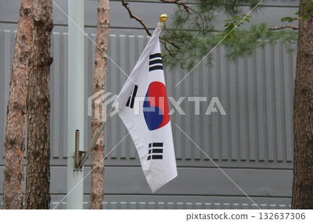 korean national flag korean national flag 132637306