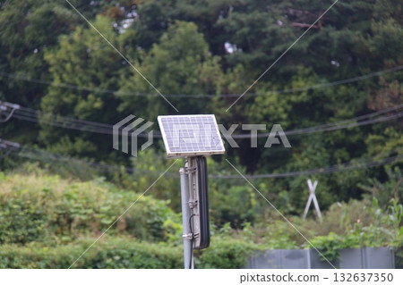 solar power plant with green leaves 132637350