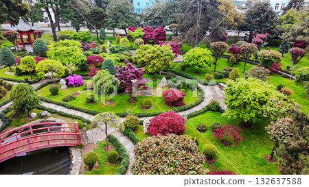 Drone view on JAPANESE GARDEN IN Batumi wiith red leaves of Japanese maple (in May!) Drone view on JAPANESE GARDEN IN Batumi wiith red leaves of Japanese maple (in May!) 132637588