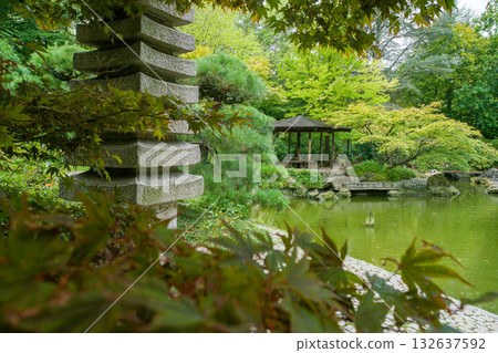 Gazebo in Japanese garden in Bonn .in autumn. As grass - pleioblastus - variety of bamboo tree. Gazebo in Japanese garden in Bonn .in autumn. As grass - pleioblastus - variety of bamboo tree. 132637592