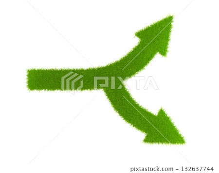 Diverging Green Grass Arrows Diverging Green Grass Arrows 132637744