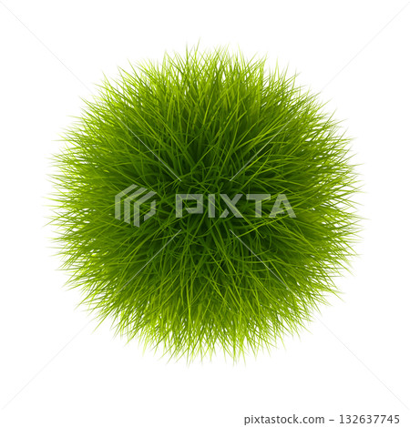 Vibrant Green Grass Sphere Isolated on White Vibrant Green Grass Sphere Isolated on White 132637745