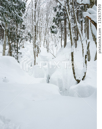 Snowy scenery up to Iwai Falls Snowy scenery up to Iwai Falls 132637930