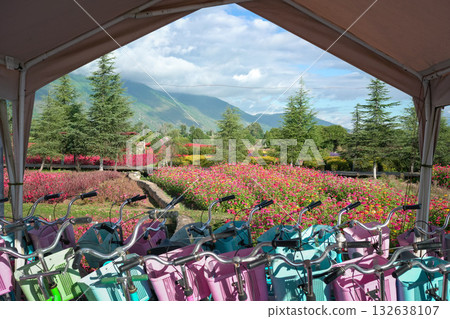 Flower farm Flower farm 132638107
