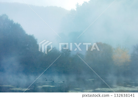 Autumn trees background with lake and fog Autumn trees background with lake and fog 132638141