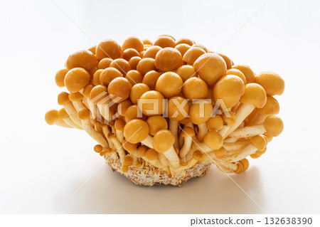 白色背景上的滑子菇庫存照片 132638390