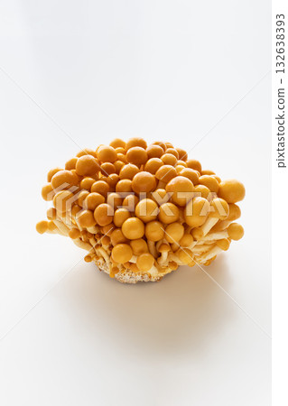 白色背景上的滑子菇庫存照片 132638393