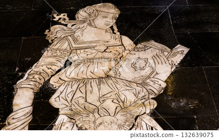 The pavement of Siena cathedral, Siena, Italy The pavement of Siena cathedral, Siena, Italy 132639075