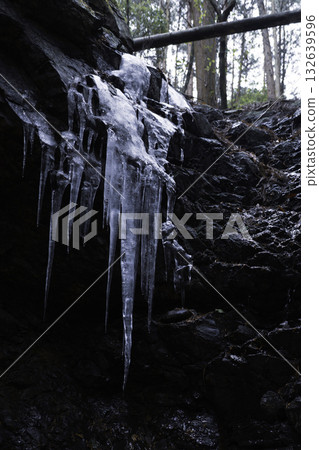Winter forest cave, icicles that look like ice 132639596