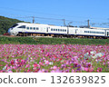 Cosmos field and the 885 series "Sonic" express train (JR Kyushu) 132639825