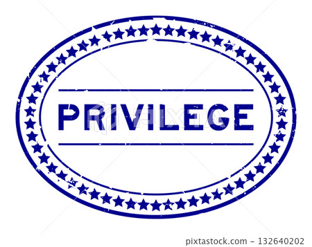 Grunge blue privilege word oval seal stamp on white background 132640202