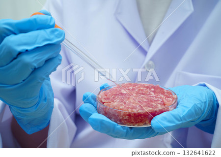 Scientist holding Petri dish with meat in science laboratory for food product development. Scientist holding Petri dish with meat in science laboratory for food product development. 132641622